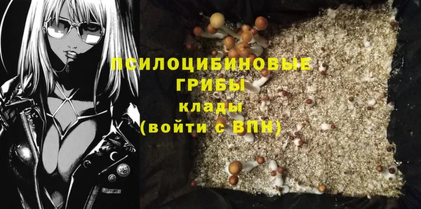 твердый Бутурлиновка