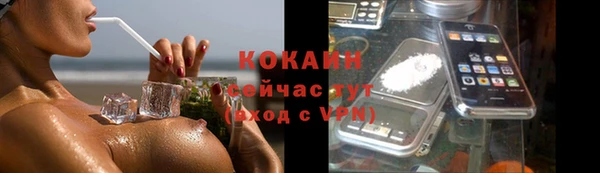 молекула духа Лихославль
