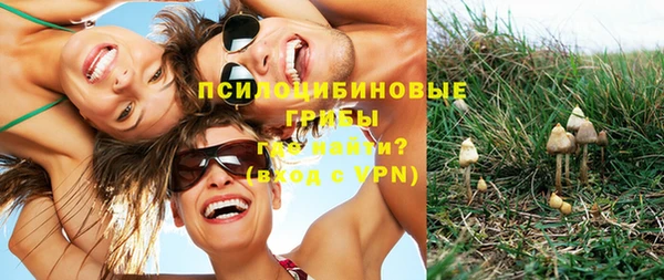 молекула духа Лихославль